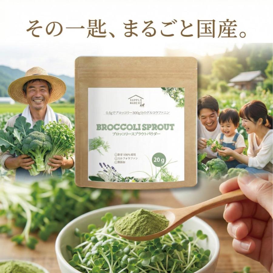 ブロッコリースプラウト パウダー 国産 無添加 スルフォラファン 20g 粉末 サプリ グルコラファニン 野菜不足 サプリメント 送料無料 365日発送 健康食品 爆買 |  | 11