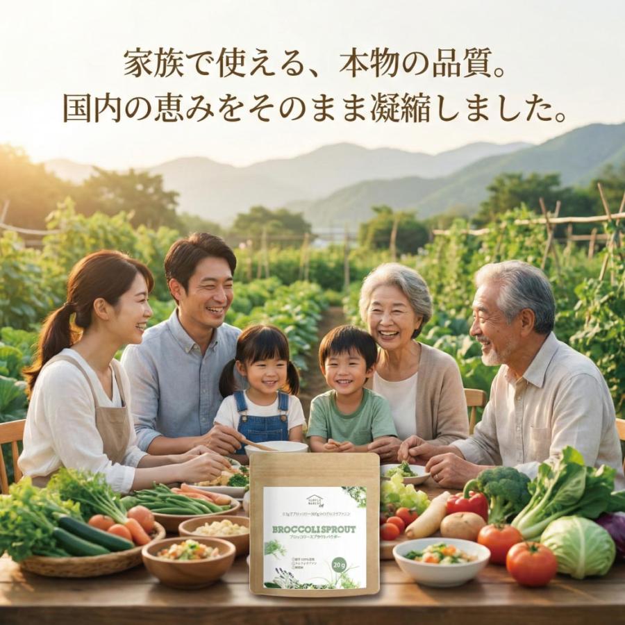 ブロッコリースプラウト パウダー 国産 無添加 スルフォラファン 20g 粉末 サプリ グルコラファニン 野菜不足 サプリメント 送料無料 365日発送 健康食品 爆買 |  | 12