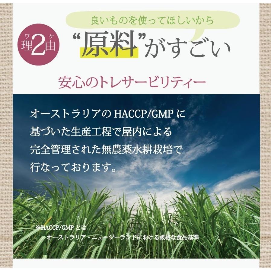 ブロッコリースプラウトパウダー 20g（50回分）150日  スルフォラファン 送料無料 サプリ ダイエット 美容 健康 エイジングケア｜supplemarche｜14