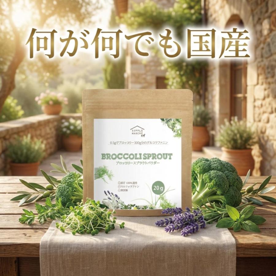 ブロッコリースプラウト パウダー 国産 無添加 スルフォラファン 20g 粉末 サプリ グルコラファニン 野菜不足 サプリメント 送料無料 365日発送 健康食品 爆買 |  | 13