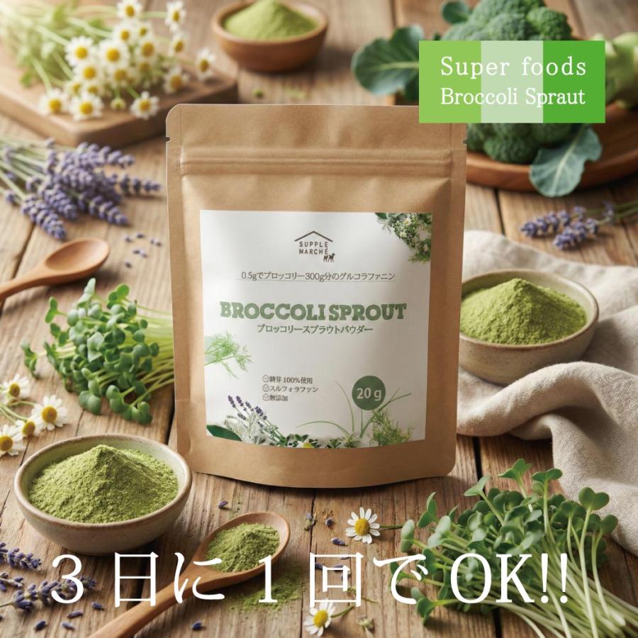 ブロッコリースプラウト パウダー 国産 無添加 スルフォラファン 20g 粉末 サプリ グルコラファニン 野菜不足 サプリメント 送料無料 365日発送 健康食品 爆買 |  | 18