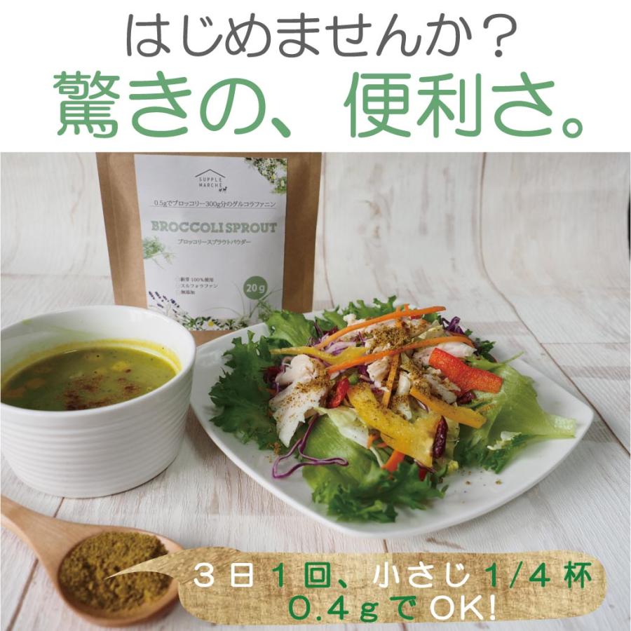 ブロッコリースプラウト パウダー 国産 無添加 スルフォラファン 20g 粉末 サプリ グルコラファニン 野菜不足 サプリメント 送料無料 365日発送 健康食品 爆買 |  | 05