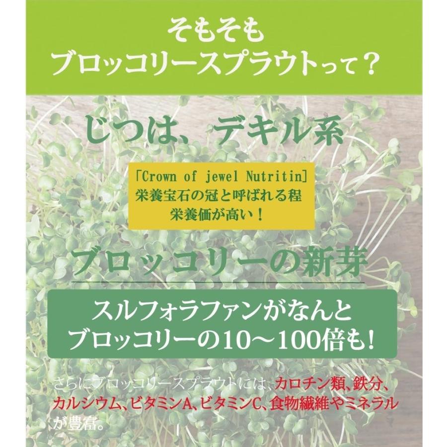 ブロッコリースプラウトパウダー 20g（50回分）150日  スルフォラファン 送料無料 サプリ ダイエット 美容 健康 エイジングケア｜supplemarche｜08