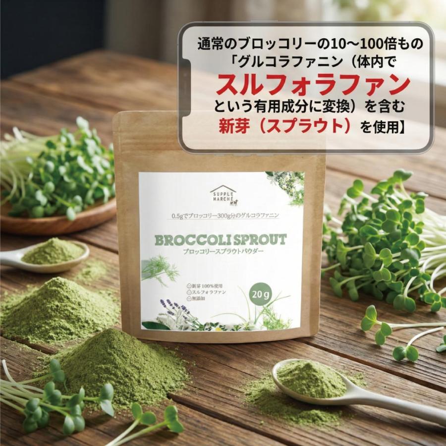 ブロッコリースプラウト パウダー 国産 無添加 スルフォラファン 20g 粉末 サプリ グルコラファニン 野菜不足 サプリメント 送料無料 365日発送 健康食品 爆買 |  | 07