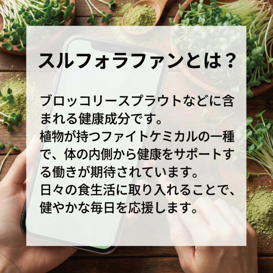 ブロッコリースプラウト パウダー 国産 無添加 スルフォラファン 20g 粉末 サプリ グルコラファニン 野菜不足 サプリメント 送料無料 365日発送 健康食品 爆買 |  | 08