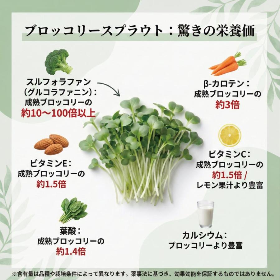 ブロッコリースプラウト パウダー 国産 無添加 スルフォラファン 20g 粉末 サプリ グルコラファニン 野菜不足 サプリメント 送料無料 365日発送 健康食品 爆買 |  | 09