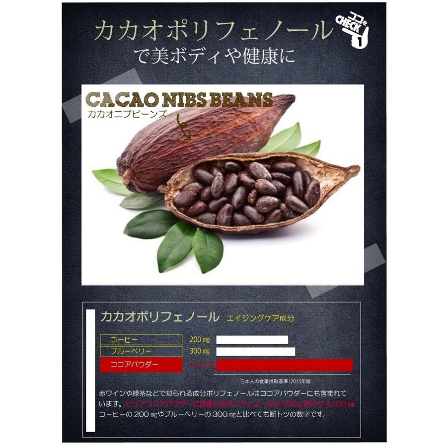ココアパウダー 純ココア ピュアココアパウダー 500g 送料無料 無香料