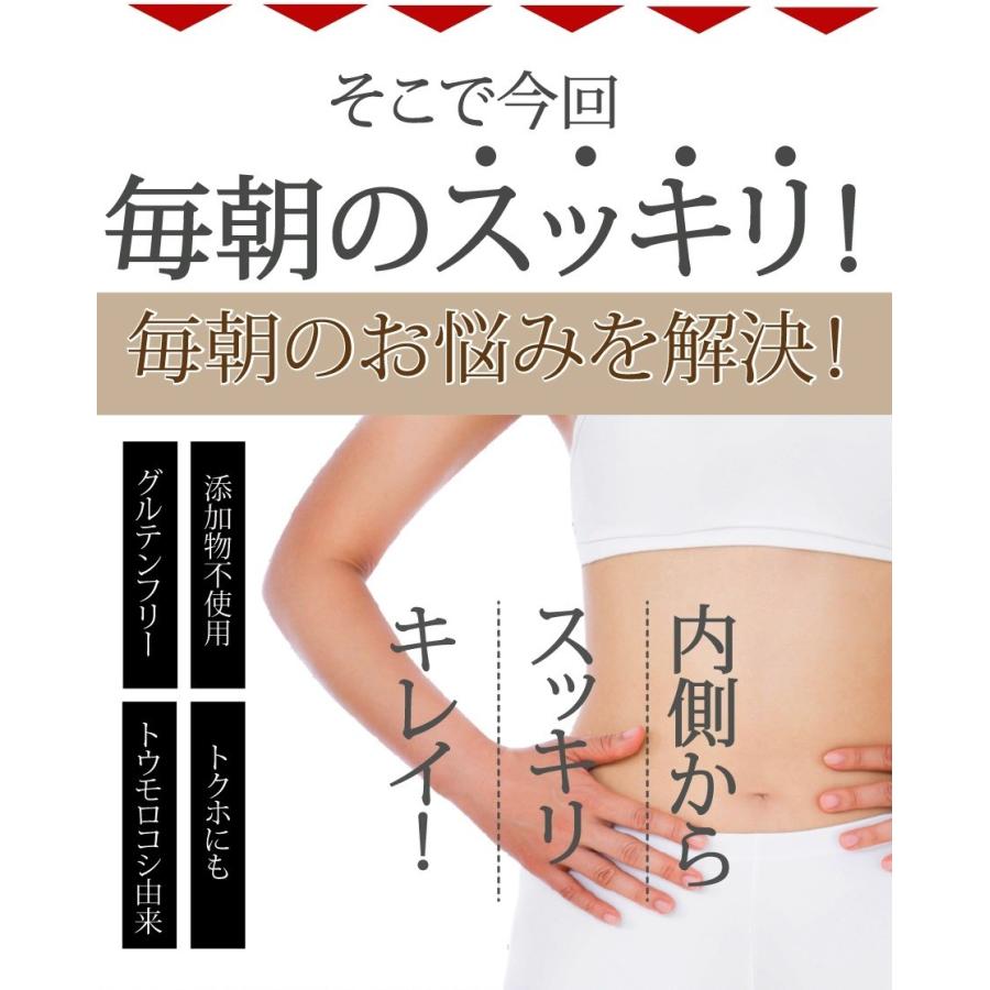 難消化性デキストリン400ｇ（顆粒タイプ）乳酸菌プラス ダイエットファイバープレミアム 冷水でも簡単に溶ける【日本社製 国内充填 糖質制限 送料無料】食物繊維｜supplemarche｜06