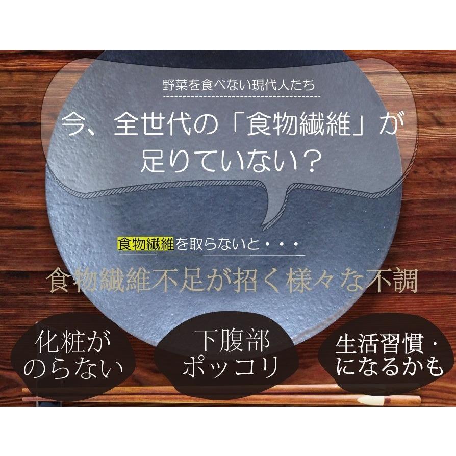 難消化性デキストリン400ｇ（顆粒タイプ）乳酸菌プラス ダイエットファイバープレミアム 冷水でも簡単に溶ける【日本社製 国内充填 糖質制限 送料無料】食物繊維｜supplemarche｜08