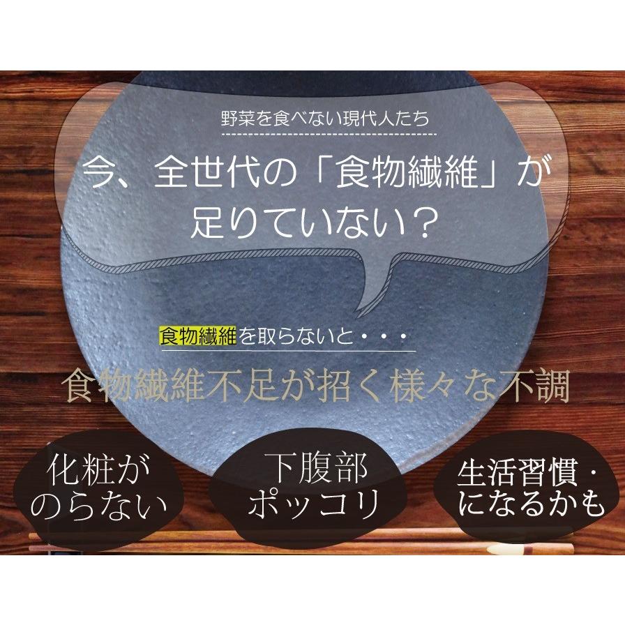 難消化性デキストリン 500g ダイエット ダイエットファイバー 送料無料 水溶性食物繊維 微粉末タイプ｜supplemarche｜07