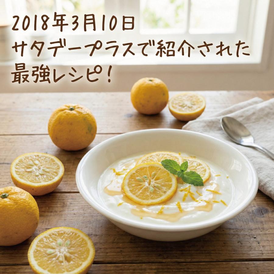 季節のムズムズに 楽天総合1位  和歌山県産 じゃばら果皮パウダー 120g 乳酸菌 ビフィズス菌 プラス 送料無料 食物繊維 ナリルチン じゃばらパウダー 爆買 |  | 12