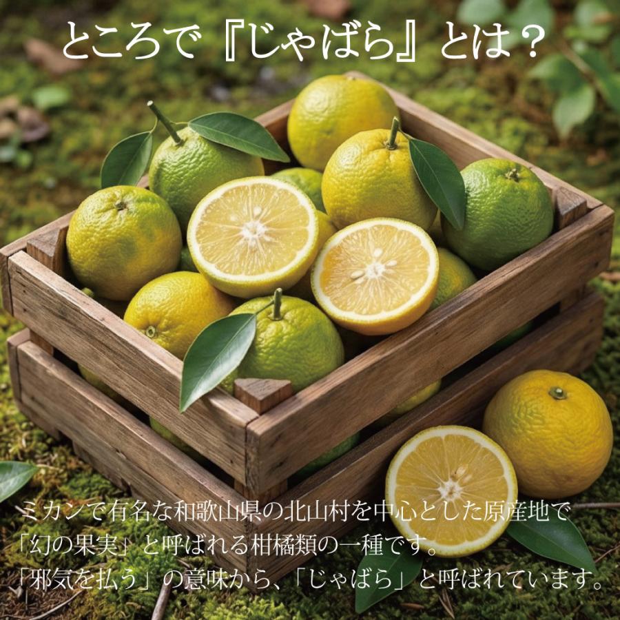 季節のムズムズに 楽天総合1位  和歌山県産 じゃばら果皮パウダー 120g 乳酸菌 ビフィズス菌 プラス 送料無料 食物繊維 ナリルチン じゃばらパウダー 爆買 |  | 07
