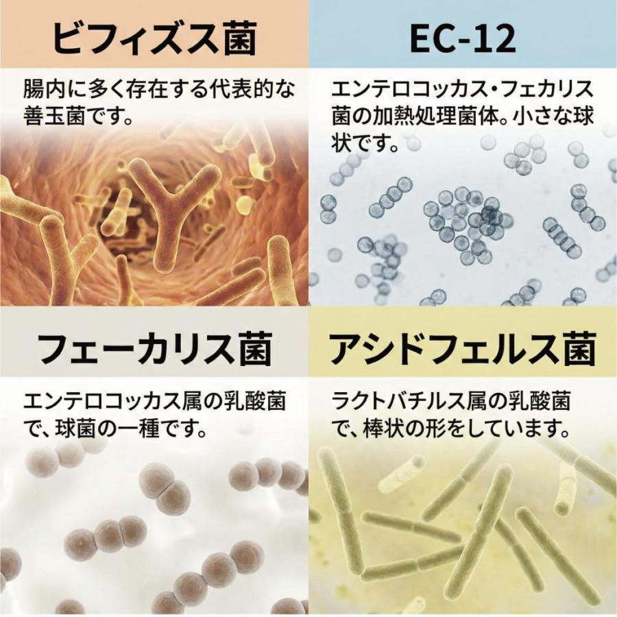 季節のムズムズに 楽天総合1位  和歌山県産 じゃばら果皮パウダー 120g 乳酸菌 ビフィズス菌 プラス 送料無料 食物繊維 ナリルチン じゃばらパウダー 爆買 |  | 10