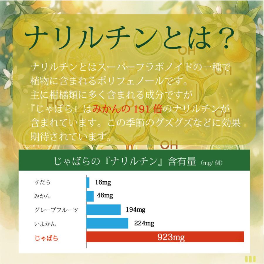 季節のムズムズに 楽天総合1位  和歌山県産 じゃばら果皮パウダー 120g 乳酸菌 ビフィズス菌 プラス 送料無料 食物繊維 ナリルチン じゃばらパウダー 爆買 |  | 06