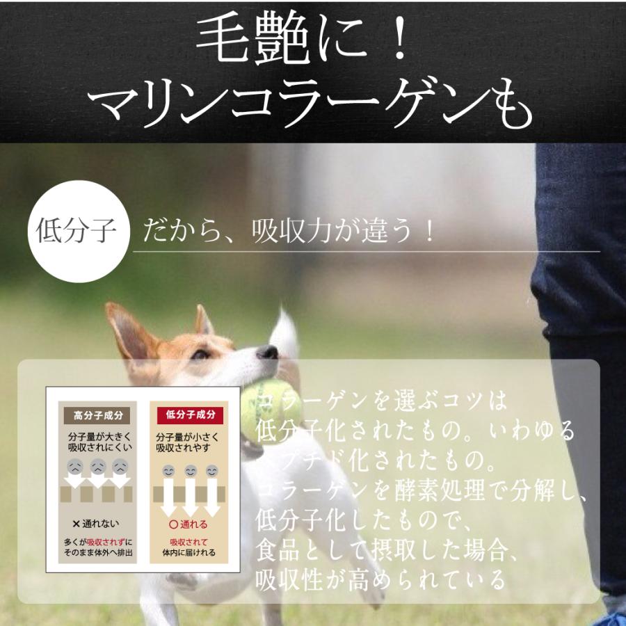 犬の関節ケアサプリのおすすめ人気ランキング【2025年11月】 | マイ