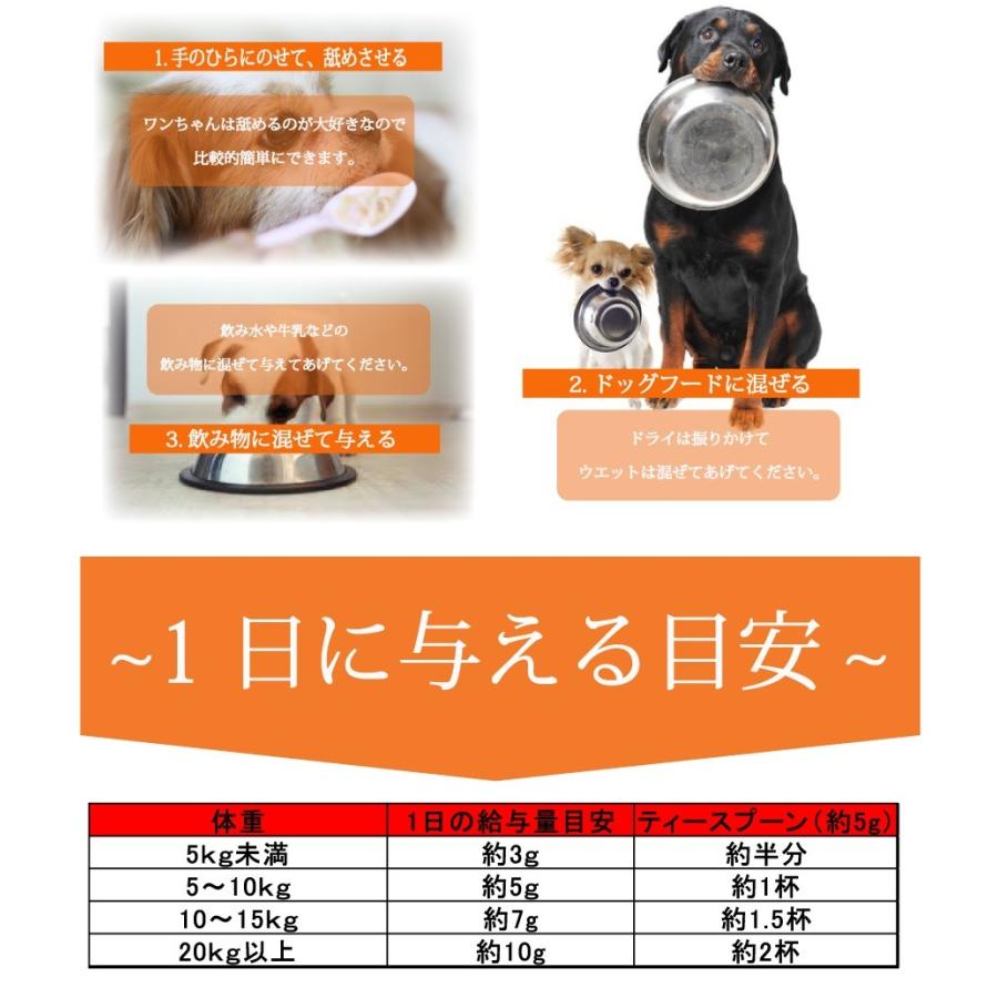 犬 ウコン サプリの商品一覧 通販 Yahoo ショッピング
