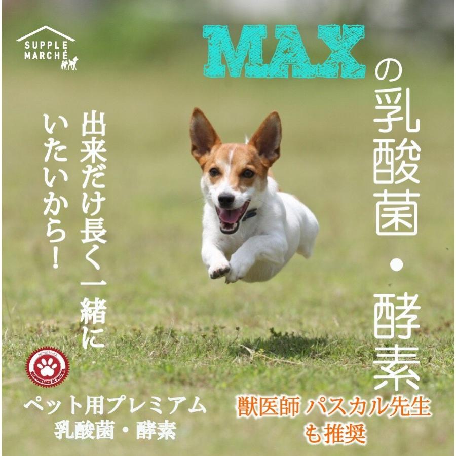 犬 ウコン サプリの商品一覧 通販 Yahoo ショッピング