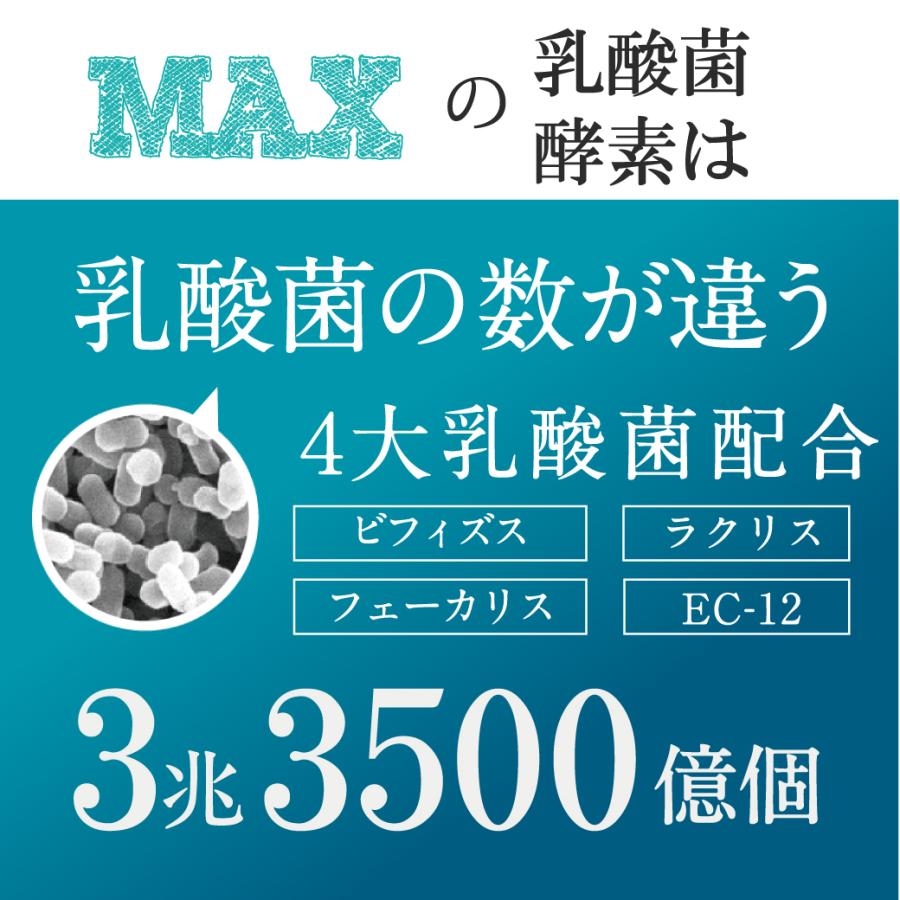 『MAXの乳酸菌 酵素』ペットサプリ乳酸菌数3兆3500億個と85種類の酵素ワンちゃん用プレミアム乳酸菌 酵素 免疫力 整腸 便秘｜supplemarche｜08