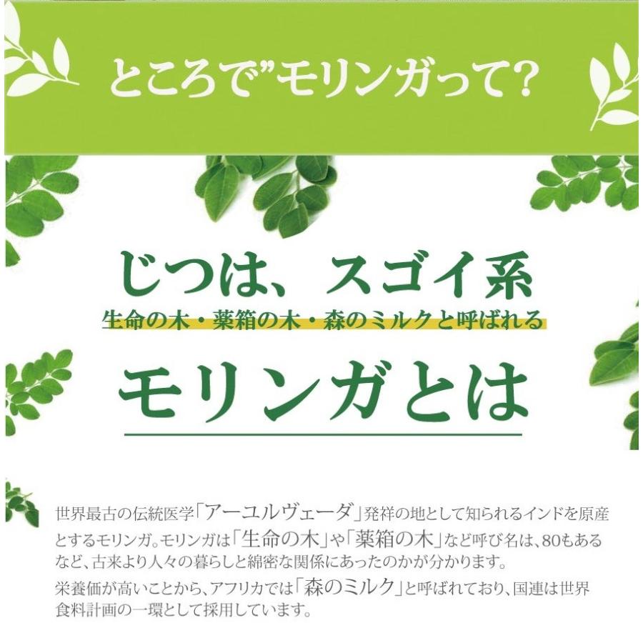 モリンガパウダー 有機原料使用 オーガニック 100g 純度100% 粉末 スーパーフード ノンカフェイン 12時まで当日発送 送料無料 365日出荷 青汁 国産製造 爆買 |  | 05