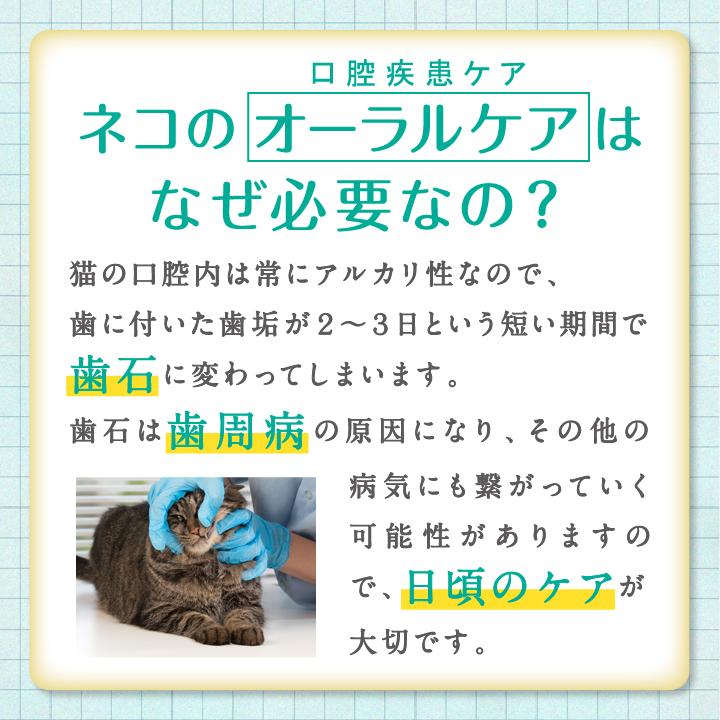 魔法のスプレー　オーラルケア　猫専用　歯石　歯周病　口腔疾患｜supplemarche｜05