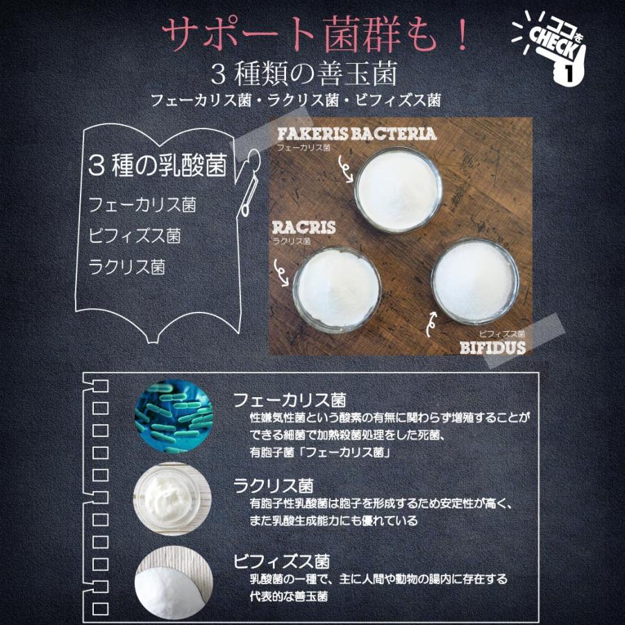 超乳酸菌 10兆個の乳酸菌 100g(1日1000億個で100日分） プレーンタイプ