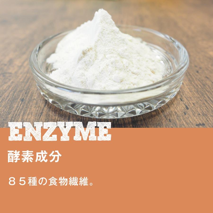 【お徳用2個セット】ボタニカル ソイプロテイン 300g 人工甘味料（6種）不使用 選べる15種類の味 7種のビタミン コラーゲン 乳酸菌 酵素パウダー 爆買 |  | 25