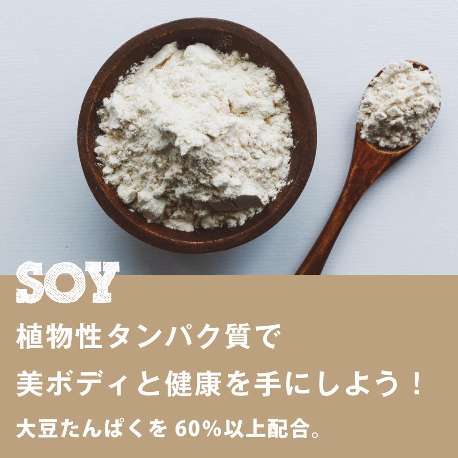 【お徳用2個セット】ボタニカル ソイプロテイン 300g 人工甘味料（6種）不使用 選べる15種類の味 7種のビタミン コラーゲン 乳酸菌 酵素パウダー 爆買 |  | 22