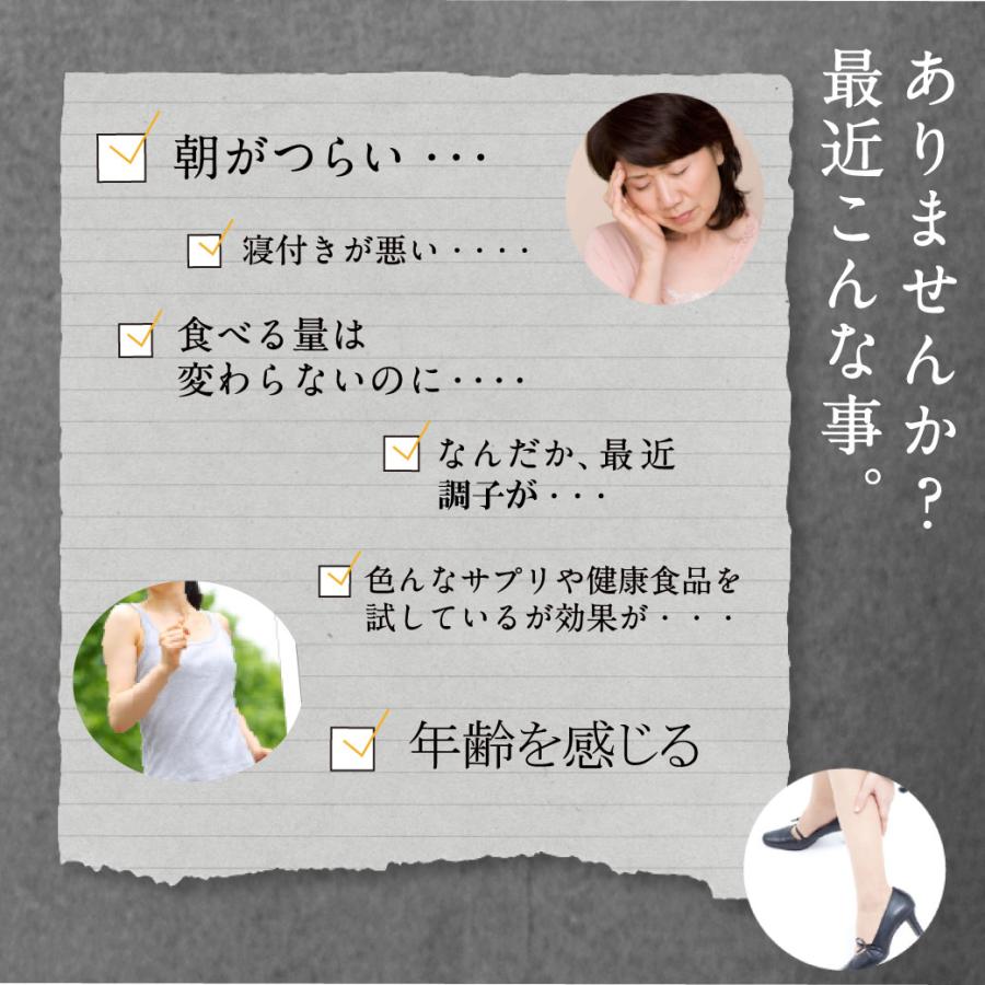 【年末超値下げ】 水素バスボール シリカ配合2個+シリカ無配合2個の計4個セット ポータブルシリカ水生成器 “シリカ・ピュア”専用 カートリッジ2