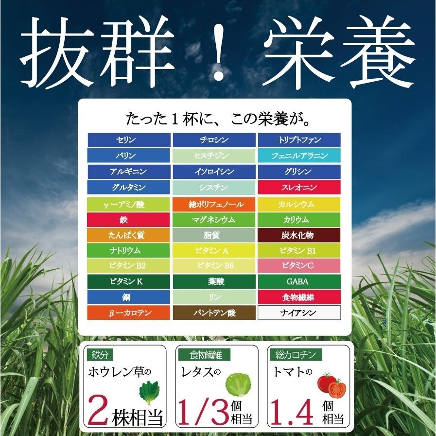 シトルリン入り大麦若葉180g（60回分）鹿児島県産 【300種残留農薬検査済 大麦若葉】シトルリン 乳酸菌 青汁 シトルリン配合  ダイエット 爆買 食物繊維 |  | 14