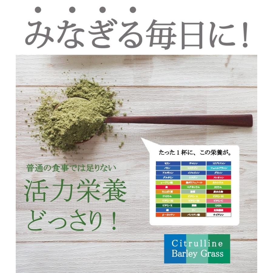 シトルリン入り大麦若葉180g（60回分）鹿児島県産 【300種残留農薬検査済 大麦若葉】シトルリン 乳酸菌 青汁 シトルリン配合  ダイエット 爆買 食物繊維 |  | 17