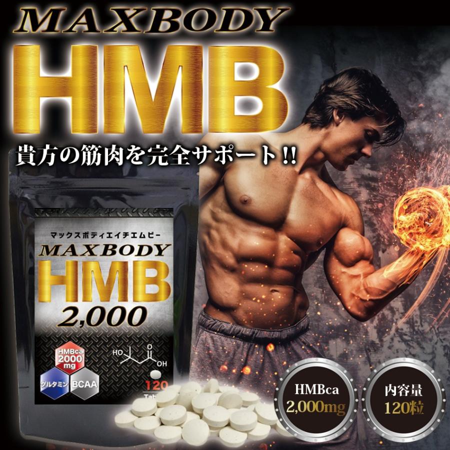 MAX BODY HMB エイチエムビー HMBを2000mg配合！1袋に業界トップクラス さらにＢＣＡＡ配合｜supplement-cafe｜02