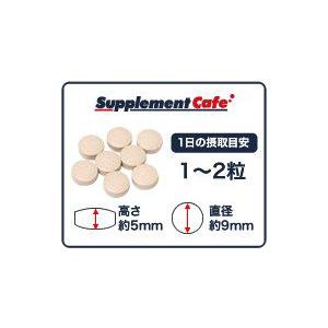 エンドレスホライゾン メタルヘッド エクストリーム サプリメント Amazon.co.jp: メタルヘッドエクストリーム サプリメント エンドレス