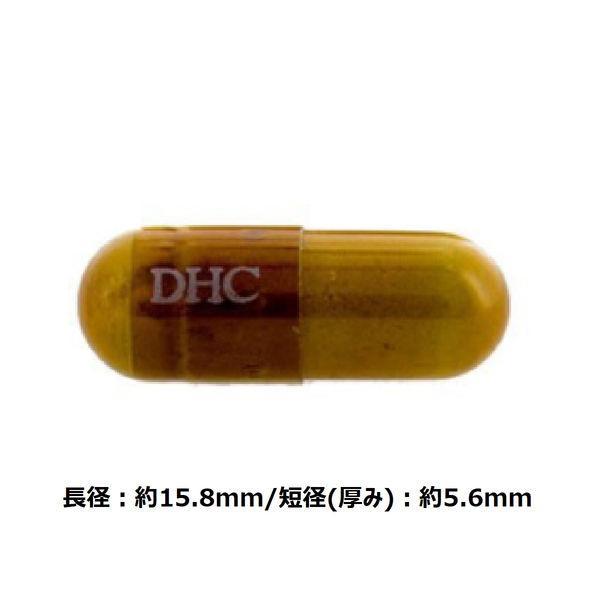DHC ルテオリン尿酸ダウン 20日分 20粒【3個セット】｜supplement-fan｜02
