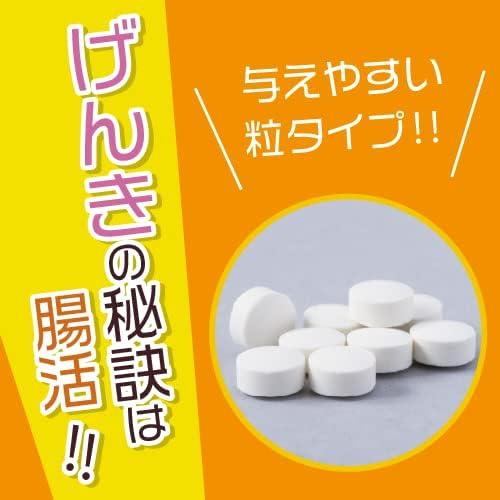 ニチニチ製薬　Zoot（ズット）錠剤60粒 【2個セット】/ LFK FK23乳酸菌 ペット用 乳酸菌サプリメント 犬 猫 ズッート ニチニチ製薬　　｜supplement-fan｜06