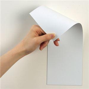 (まとめ) マグエックス 両面カラーマグネットシート 300×100×1mm 白/白 MSR-10WW 1枚 〔×15セット〕の画像