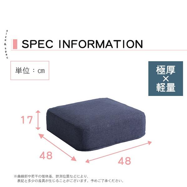 低反発 クッション/座布団 〔角型 同色2個組 ベージュ〕 幅48cm 日本製ボディ 洗えるカバー付き 〔リビング〕〔代引不可〕の画像