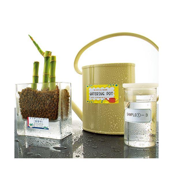 (まとめ) コクヨカラーレーザー＆カラーコピー用耐水紙ラベル A4 24面 31×62mm LBP-WP6924N1冊(20シート) 〔×10セット〕_2