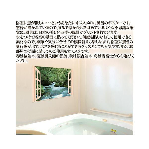 （まとめ） 昭プラ お風呂のポスター 四季彩 銀杏並木 8095653 〔×2セット〕｜supplement-k｜03