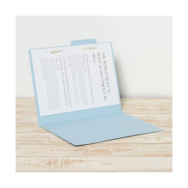 （まとめ）プラス 個別フォルダー エコノミータイプA4 ロイヤルブルー FL-081IF 1パック(10冊)〔×10セット〕_5