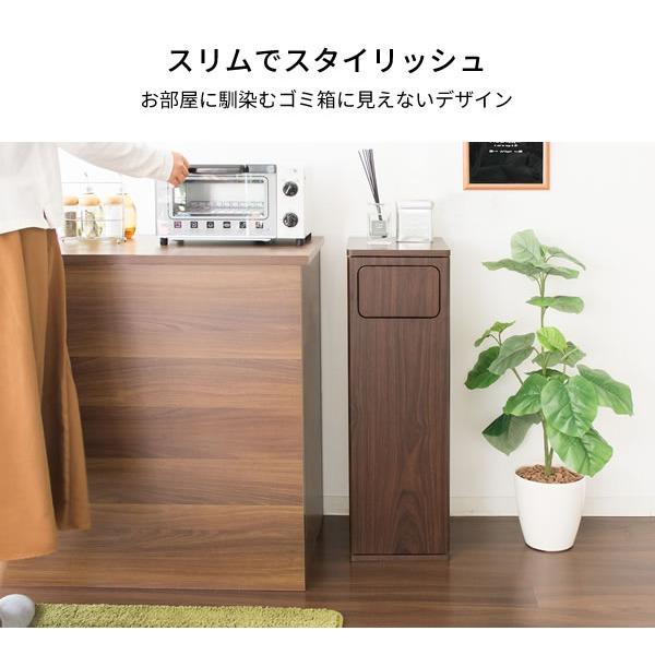 ダストボックス ゴミ箱 幅25cm 45L ブラウン プッシュ扉式 中身が見えない Empro キッチン 台所 店舗 ショップ〔代引不可〕_2