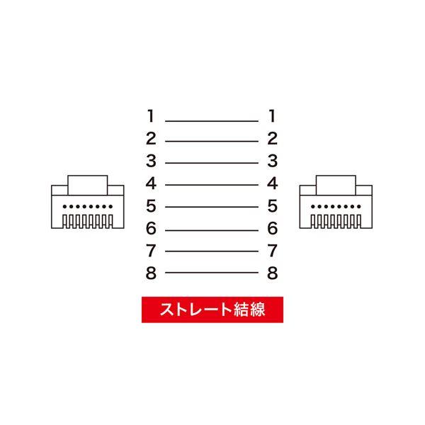 〔5個セット〕 サンワサプライ ツメ折れ防止CAT5eLANケーブル 10m LA-Y5TS-10DX5