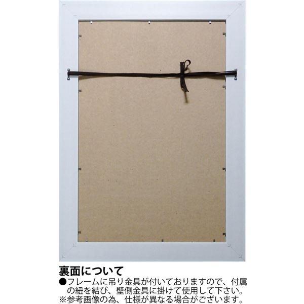 ユーパワー X-RAYキャンバスアート 「ラウンドローズ」(Mサイズ)_3