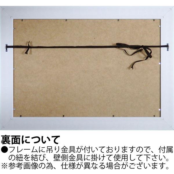 ユーパワー X-RAYキャンバスアート 「クロッカス」(Mサイズ)_3
