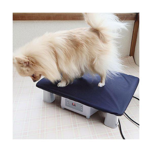 【値下げ・名盤】 サンコー アニマル冷温プレート ペットコの間 PECLPLHWH 【S1763853870】(10862円)