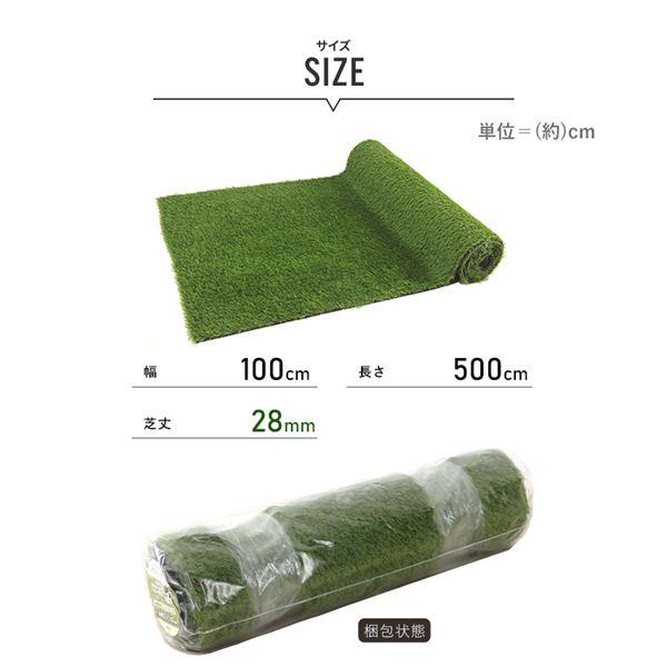 GTF-2805 グリーンターフ芝長さ：28mm サイズ：1m×5m_3