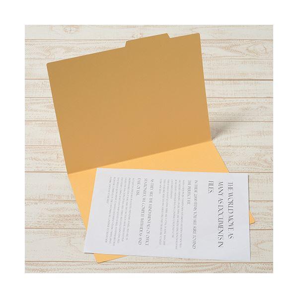 （まとめ） プラス個別フォルダー A3 イエロー FL-069IF 1セット（10冊） 〔×3セット〕の画像