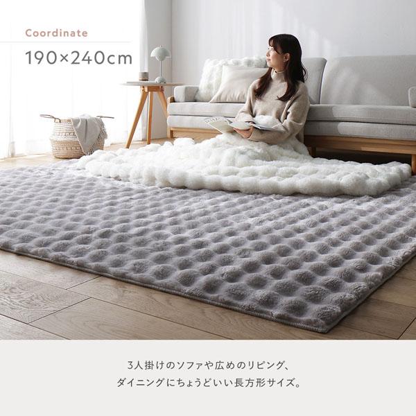 ふわもこ ラグ 約190×240cm グレー 洗える 抗菌 消臭 ペット臭 滑り