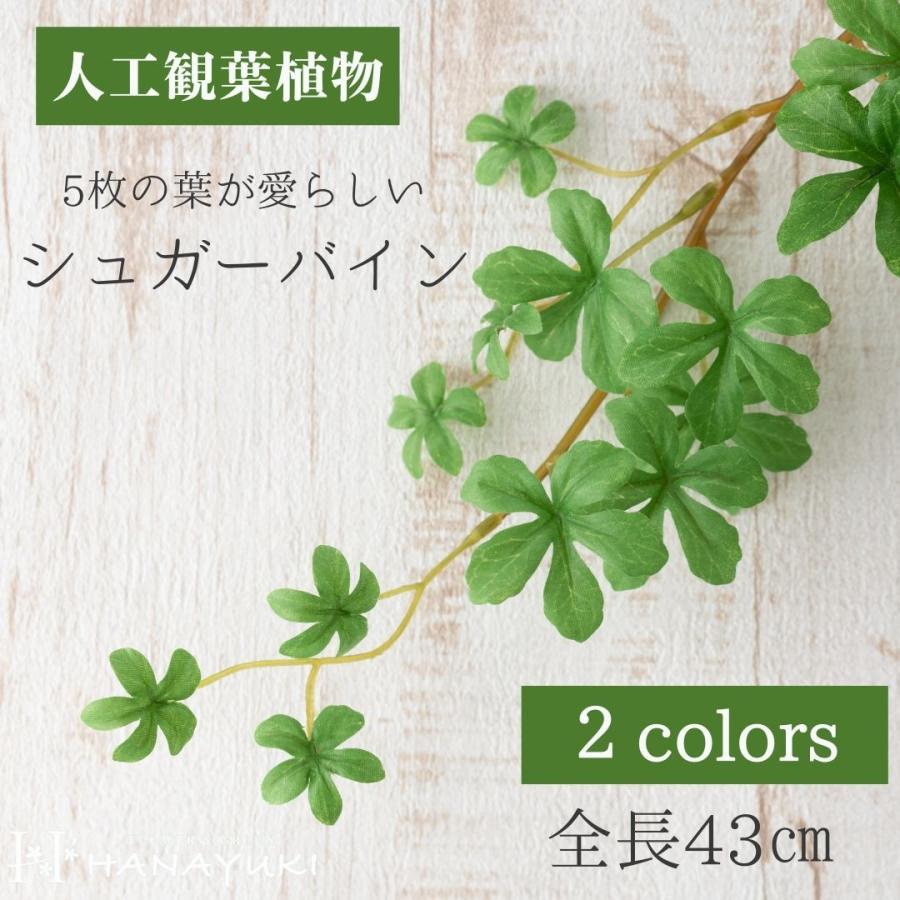 人工観葉植物 フェイクグリーン 光触媒 シュガーバイン ガーランド 全長43cm ライトグリーン色 インテリア 観葉植物 グリーン Hanayuki Hanayuki Cisivy45gar 01 Mono Natural 通販 Yahoo ショッピング