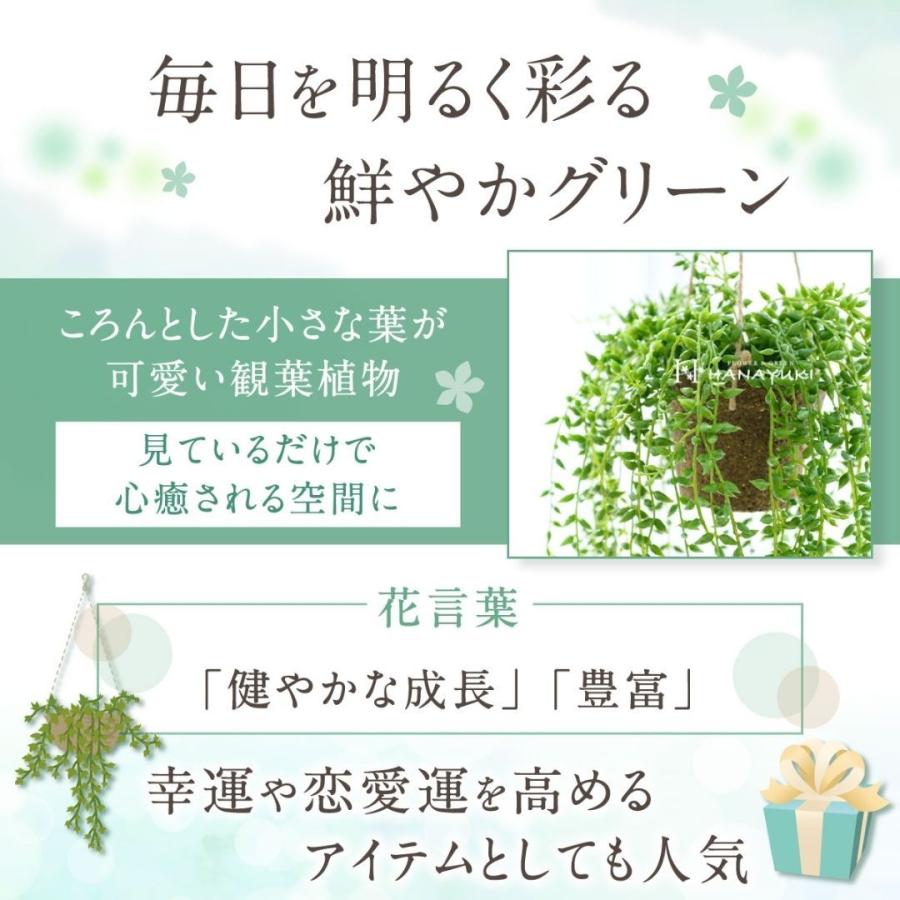 HANAYUKI フェイクグリーン グリーンネックレス 吊り下げ ハンギング