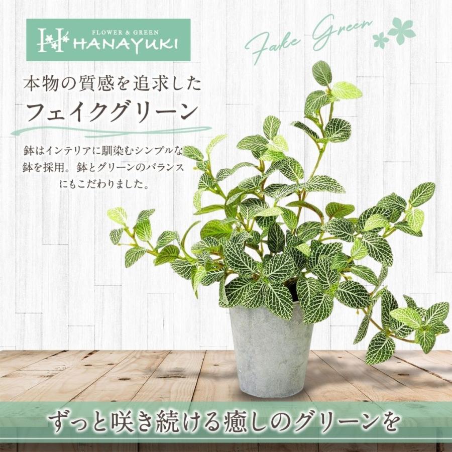 HANAYUKI フェイクグリーン グリーンネックレス 吊り下げ ハンギング 